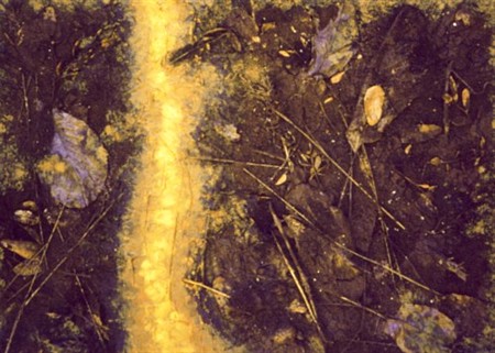 Il colore della vita 